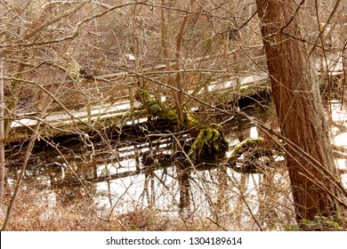 80 Carkeek Park Images, Stock Photos & Vectors | Shutterstock