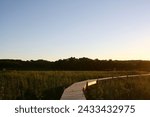 A wooden walkway curves on above a grassy marsh beneath a clear blue sky.