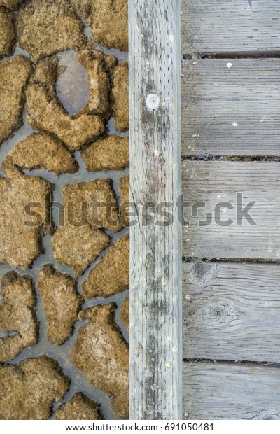 Wooden walkway and dried mud\
in the background, Alviso marsh, south San Francisco bay,\
California 