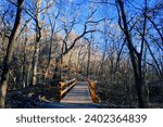 Wooden walkway in the forest during autumn season. Turkey Mountain Tulsa Oklahoma. No people.