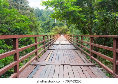 Wooden Walkway To The Jungle In Asean. Many People Visit This Place For Watching Wild Animal.