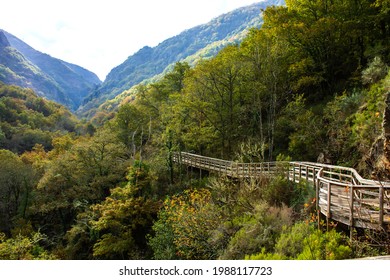 Wooden walkway in Mao River Canyon, Ribeira Sacra, Galicia, Spain - Powered by Shutterstock