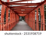 wooden walkway on the bridge