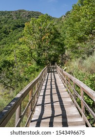 Wooden Walkway On The River Mao Canyon Hiking Trail, Ourense, Galicia, Spain