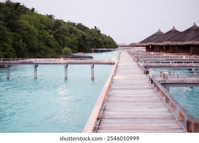 A wooden walkway over turquoise waters leads to thatched overwater villas, surrounded by lush greenery under the soft evening light, creating a serene, tropical ambiance. - Powered by Shutterstock