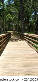 Wooden Walkway Pathway Through The Woods Lined With Trees Nature Trail. Background. Wallpaper. 