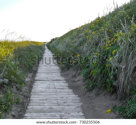 Similar – Foto Bild Bretonische Küste und Strand mit Granitfelsen an der Cote de Granit Rose