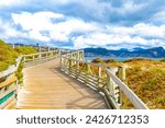 Wooden Walkway Railings and Steps at Boulders Beach by the Penguins in Simons Town Cape Town Capetown Western Cape South Africa Southafrica.