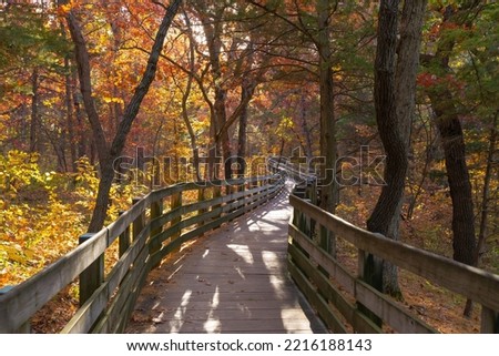 Wooden walkway through Autumn landscape at Starved Rock State Park in Illinois.