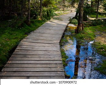 Wooden Walkway through Moss in the Forest of the Resort Adrspach Teplice Mountain, Czech Republic near Border with Poland