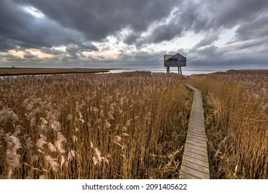 Wooden walkway through salt tidal marsh leading to observatory hide in Natura 2000 area Dollard, Groningen Province, the Netherlands. Landscape scene in windy conditions in the nature of Europe. - Shutterstock ID 2091405622
