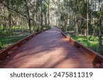 Wooden walkway winding through filtered sunlight of paper bark trees in Coombabah Lakeland Nature Reserve.