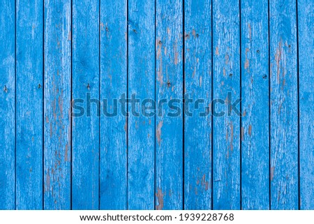 wooden wall with vertical planks. old blue paint. background for designer. High quality photo