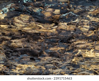 wooden walpaper , beautiful abstract background - Shutterstock ID 2391715463
