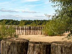 Wooden Wave Breakers On A Sandy Beach. Bushes And Trees Are Growing On The Shoreline. The Bright And Fine Sand Is Perfect For The Use As Bathing Beach. The Environment Is A Travel Destination.