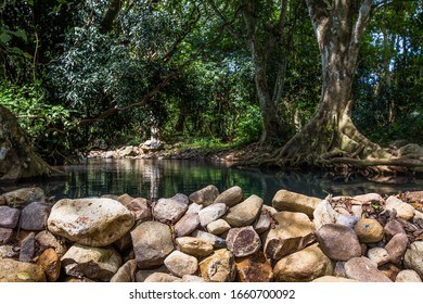 Wooden Weir In Rain Forest Thailand, Local Water Management, Irrigation, Mossy Forest, Moss And Lichen, Moss On Rocks, Soft Focus Due To Long Exposure