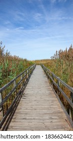 Wooden Wetlands Boardwalk Path With Blue Sky. Vertical.