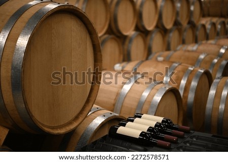 Wooden wine barrels in the cellar of the winery
