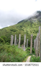 Wooden Wisdom Poles, Ngong Ping Plateau, Lantau Island, Hong Kong WanderWisdom Travel Destinations Asia
Tourist Guide To The Tian Tan Buddha
