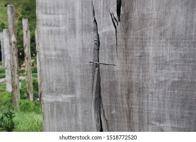 Wooden Wisdom Poles, Ngong Ping Plateau, Lantau Island, Hong Kong WanderWisdom Travel Destinations Asia
Tourist Guide To The Tian Tan Buddha
