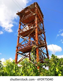 Wooden Zipline Tower / Jungle Tour Tower Above Trees In Mayan Ruin Site Coba, Yucatan, Mexico 