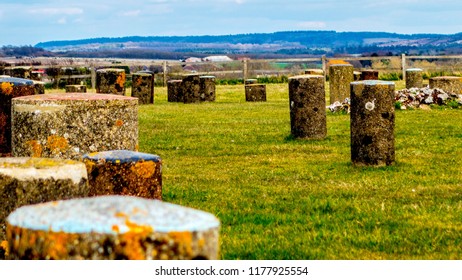 Woodhenge Landscape Scene 