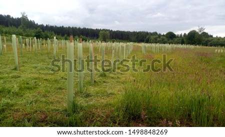 Woodland creation with biodivers UK native trees