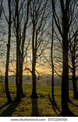 Similar – behind tree gate right