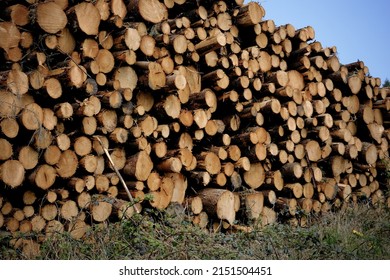 Woodland Deforestation Ireland Stock Photo 2151504451 | Shutterstock