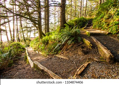 Woodland Path With A Fork Symbolic Of Choosing A Path For The Future. Fork Or Split In A Woodland Path Stairs Or Trail