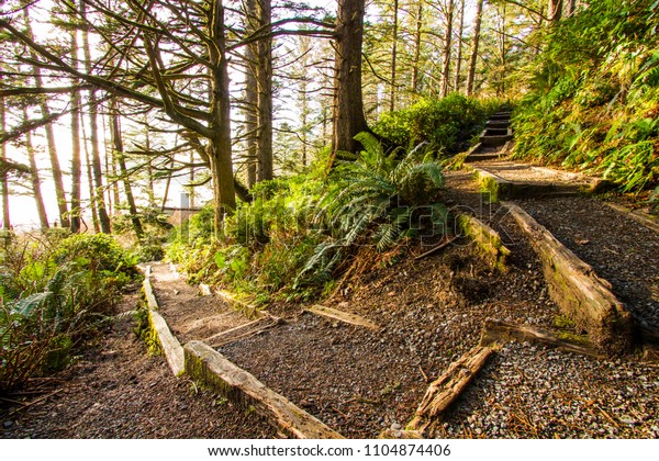 Woodland path\
with a fork symbolic of choosing a path for the future. Fork or\
split in a woodland path stairs or\
trail