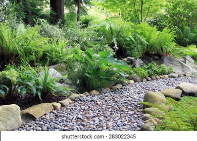 Woodland Shade Garden Path, Lined With Hosta And Fern. 