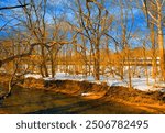 Woodland Stream by a Railroad Track, Winter, Montgomery County, Pennsylvania