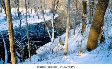 Woodland Stream, Snow Covered Slope, Deciduous Trees, Winter, Pennypack Creek, Philadelphia, Pennsylvania - Powered by Shutterstock