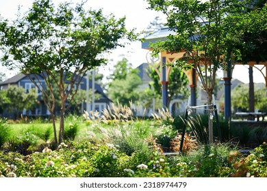 THE WOODLANDS, TEXAS - MAY 18th 2023: backdrops and backgrounds of Houston suburbs photographed in a golden hour featuring pine trees, tall grass, water canal with stone bridges and a colorful goose - Powered by Shutterstock