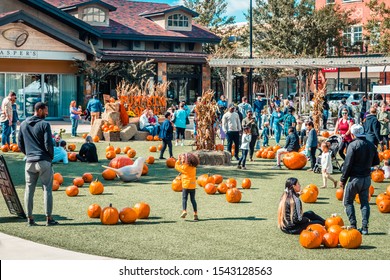 The Woodlands, Texas / USA - October 26 2019: Pumpkin Patch at Market Street. Market Street invited local families to a pumpkin patch in Central Park to celebrate fall.