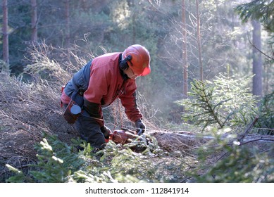 A Woodman Working In The Forest, Sweden.