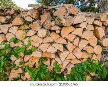 Woodpile Of Firewood Prepared For Winter, Split Tree Logs Chopped And Stacked. Renewable Energy Natural Resources. Firewood And Bio Fuel For The Fireplace. Europe Energy Crisis.