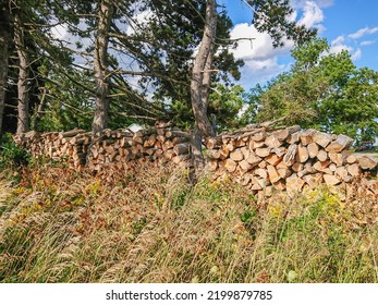 Woodpile Of Firewood Prepared For Winter, Split Tree Logs Chopped And Stacked. Renewable Energy Natural Resources. Firewood And Bio Fuel For The Fireplace. Europe Energy Crisis.