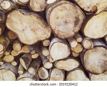 Woodpile made of cut wood and you can see annual rings