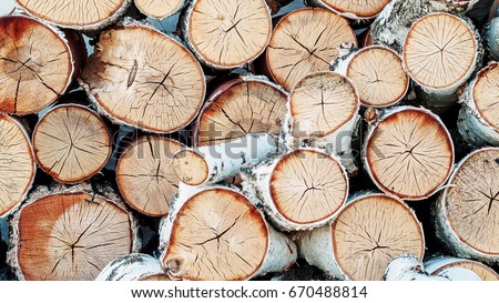 A woodpile of round logs in the countryside.