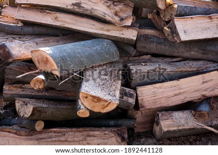 Woodpiles are freshly cut logs. A stack of tree trunks. Timber processing in the warehouse of wooden building structures. Kick the chopped wood. Forestry.
