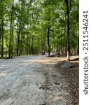 The woods at a campground at the Croft State Park Campground near Spartanburg, SC USA.