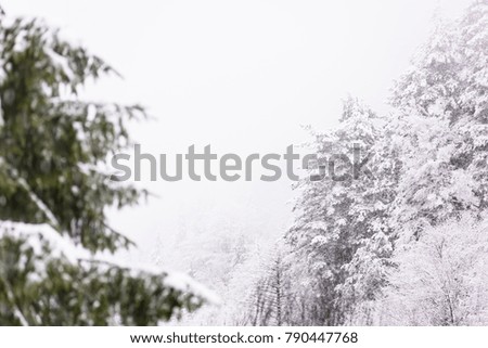 Similar – Image, Stock Photo Wwwwchsch Nature Landscape