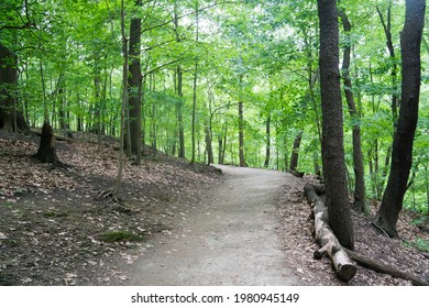 Woods In Frick Park In Pittsburgh In Spring.