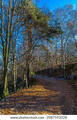 The woods of the province of Cuneo: between the gold of autumn and the white of winter