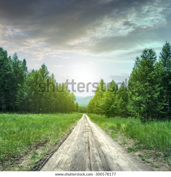 Woods road\
background