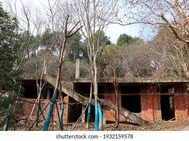 In The Woods Stood A House Which Had Not Yet Been Built