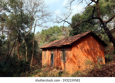 In The Woods Stood A House Which Had Not Yet Been Built