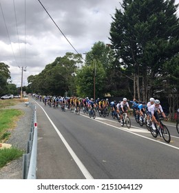 WOODSIDE, AUSTRALIA - Jan 28, 2022: Looking Down The Road At A Row Of Cyclists Riding Bikes On A Country Road In A Road Cycling Race Colourful Lycra 